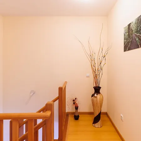 Lens & Trail House * Santana (Madeira)