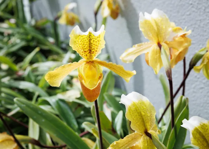 Lens & Trail House Сasa de vacaciones